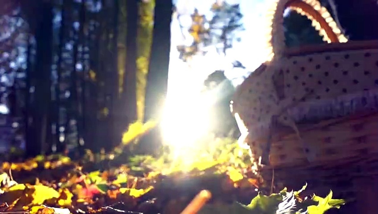 10 geheimnisvolle Kinder, die sich an ihr früheres Leben erinnern