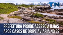 Prefeitura proíbe acesso a ilhas após casos de gripe aviária no ES