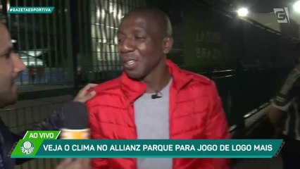 Amaral projeta vitória do Palmeiras na Libertadores e defende Abel: "Deixar trabalhar"
