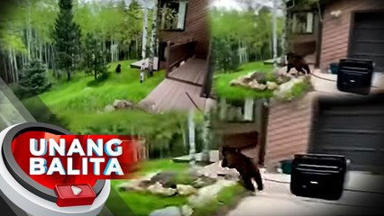 Itim na oso, nahuling kumakain ng dog food sa loob ng pickup | UB