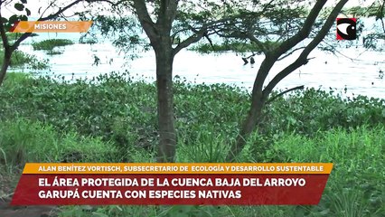 El área protegida de la cuenca baja del arroyo Garupá cuenta con especies nativas