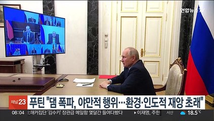 푸틴 "댐 폭파, 야만적 행위…환경·인도적 재앙 초래"