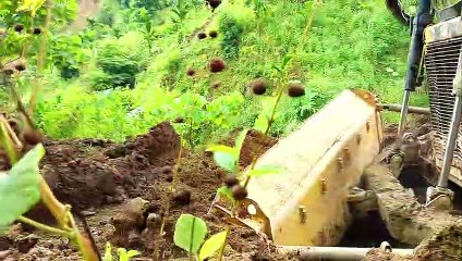 Precision in the Difficulty of D6R XL Bulldozer Expertise in Rocky Terrain