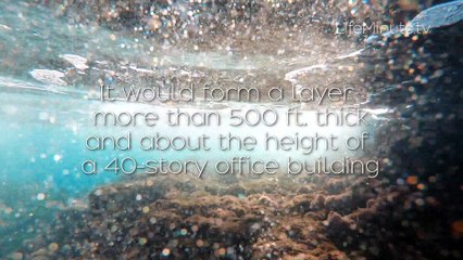 Dive Into These Fascinating Facts About The Ocean