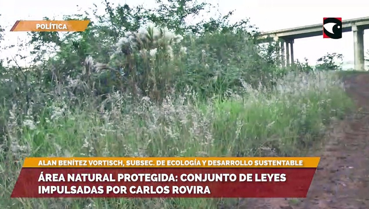 Áreas naturales protegidas Misiones protege la cuenca del arroyo Garupá