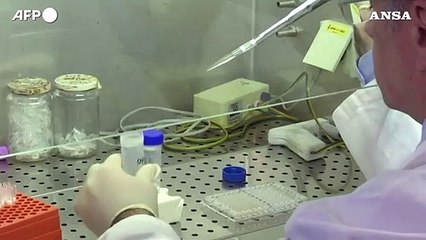 In Italia in crescita le infezioni legate al clima