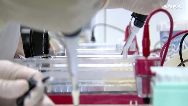 Arrivano nuove armi contro i tumori del cervello