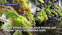 Mengintip Spot Foto Menarik dengan Latar Patung Bung Karno dan Kolam yang Asri