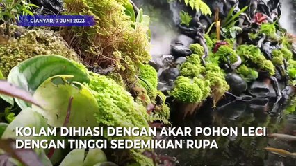 Mengintip Spot Foto Menarik dengan Latar Patung Bung Karno dan Kolam yang Asri