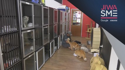 Jiwa SME: Kaka Cat House bina populariti melalui media sosial