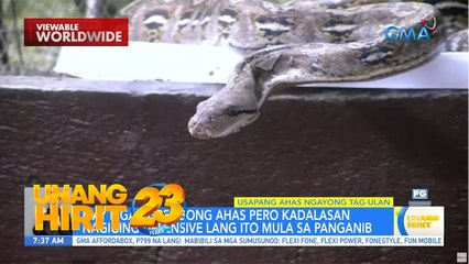 Usapang ahas ngayong tag-ulan with Doc Nielsen Donato | Unang Hirit