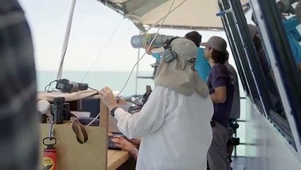 Detectan en México una decena de vaquitas marinas, especie en peligro de extinción
