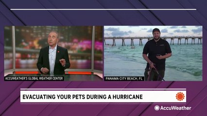 Evacuating your pets during a hurricane