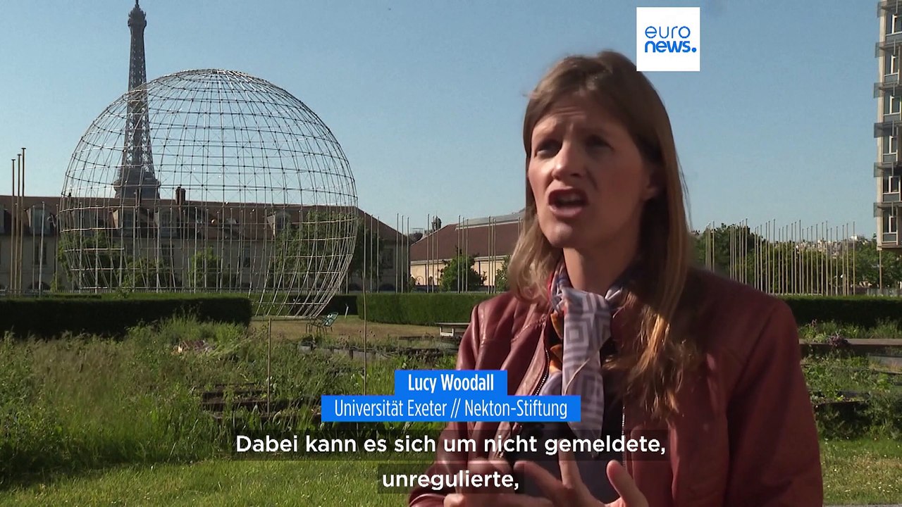 Klimawandel, Verschmutzung und Überfischung - Welttag der Ozeane