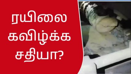 திருவள்ளூர்: ரயில் தண்டவாளத்தில் மரக்கட்டை வீசிய மர்ம நபர்கள்!