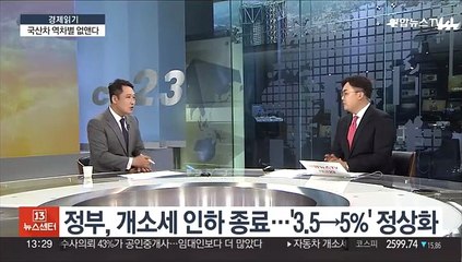 [경제읽기] 국산차 세금 역차별 해소…소비자 부담 줄어들까?