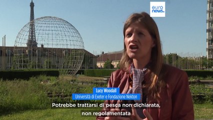 Giornata degli oceani: minacciati da plastica e pesca e mai caldi come in questo maggio