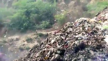 National Chambal Crocodile Century