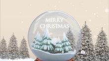 2022 Christmas Crystal Ball