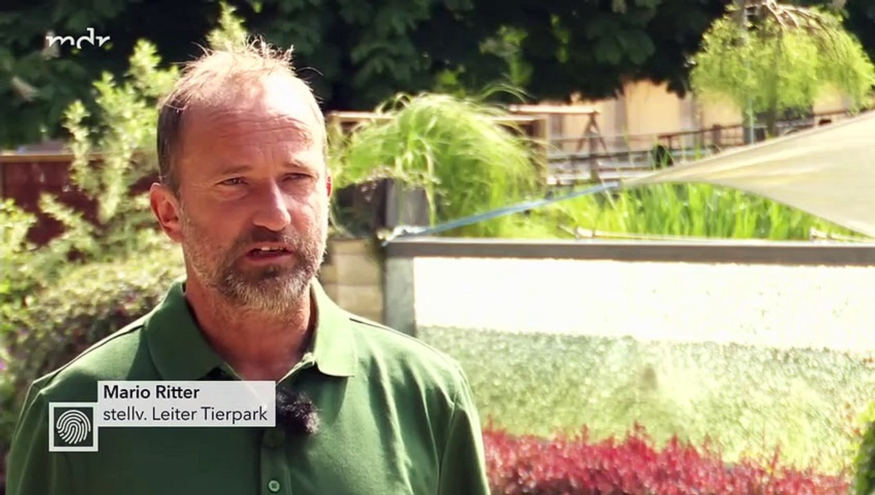 Kripo Live vom 04.06.2023