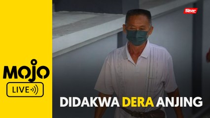 Warga emas mengaku tidak bersalah dera anjing