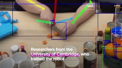 Artificial cooking: How a robot is learning to become a salad chef