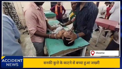 गोपालगंज: आवारा कुत्ते ने किशोर को काटकर किया जख्मी, सदर अस्पताल में भर्ती