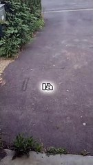 sacré tondeuse c'est grave