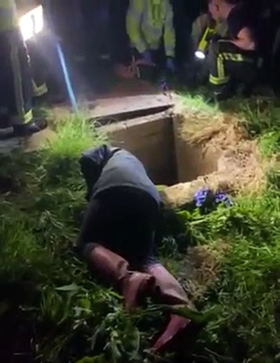 Jack Russell dog terrier is rescued from sewer pipe