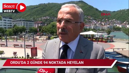 Ordu'da 2 günde 94 yerde heyelan meydana geldi