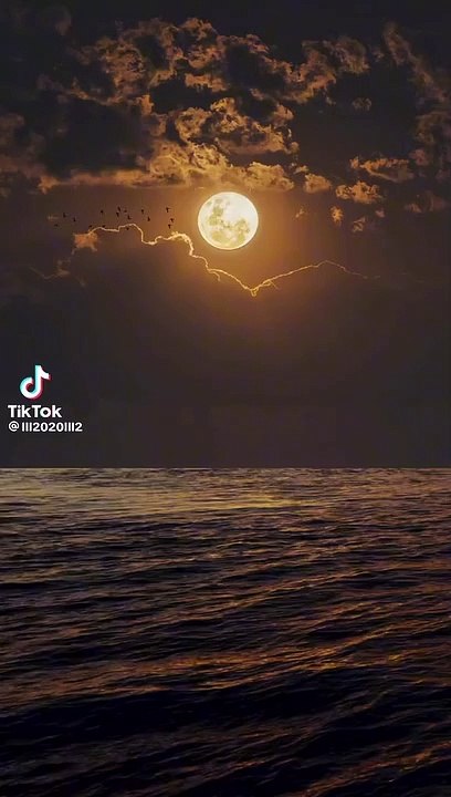 Lovely sea night