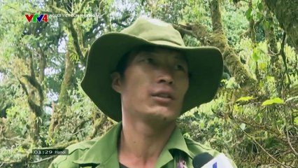 Chạm Tay Vào Nỗi Nhớ Tập 11