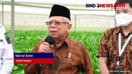 Jemaah Haji Didominasi Lansia, Wapres Tegaskan Jangan Ada Delay Pesawat!