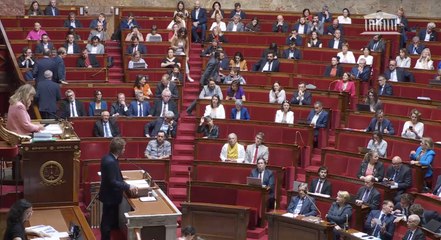 «Vous aurez transformé l’Assemblée nationale en machine à trahir le peuple»