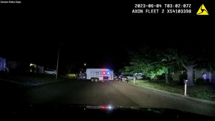 Runaway bull leads Texas police on three-hour chase in a residential area