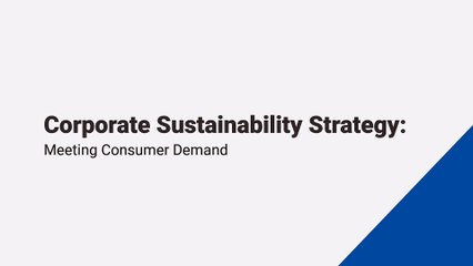 Corporate Sustainability Strategy: Meeting Consumer Demand