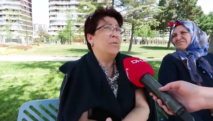 İstanbul'da ''sarı-siyah'' alarm! Arı istilası büyüyor