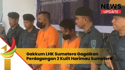 Gakkum LHK Sumatera Gagalkan Perdagangan 2 Kulit Harimau Sumatera