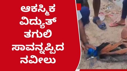ಗುಳೇದಗುಡ್ಡ: ಆಕಸ್ಮಿಕ ವಿದ್ಯುತ್ ತಗುಲಿ ಸಾವನ್ನಪ್ಪಿದ ನವೀಲು