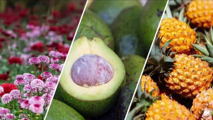 Le Talk : Revivez l'émission du jeudi 8 juin 2023