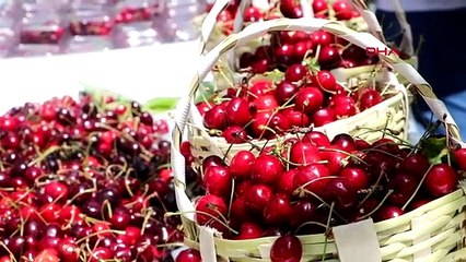 Le festival international de la cerise de Tekirdag a commencé