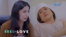 The Seed of Love: Eileen forgives Ludy's past mistakes (Episode 24)