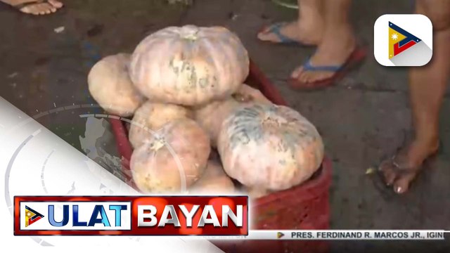 Gobyerno, patuloy na tumutulong sa mga magsasaka na apektado ng oversupply ng kalabasa
