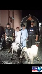 مویشی چور گرفتار  #shortvideo #shorts #hdnewskharian