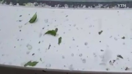 충북·경북 북부에 소나기 동반 우박..."엄지손가락 크기도" / YTN