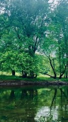 Suara Ombak Pantai: Membawa Ketenangan Pikiran Anda ke Alam Liar