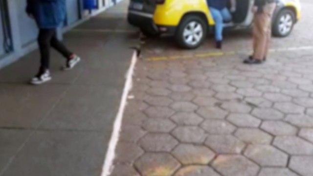 Briga de casal no Centro vai parar na Delegacia