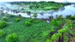Paysage spectaculaire des zones humides le long de la rivière Wusuli en Chine