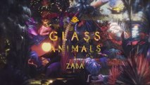 Glass Animals - JDNT (Visualiser)