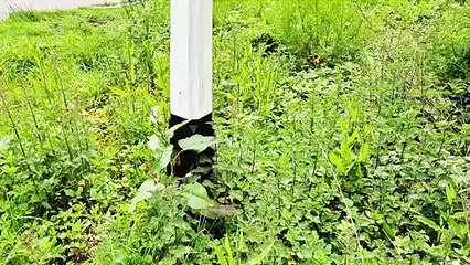 Ghostly letterless signpost seen near the main London to Brighton road at Bolney